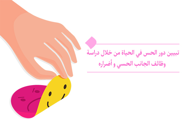 ما هي الفوائد التي يتحققها لنا فهم دور الحس في الحياة؟