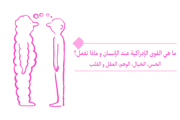 ما هو دور القوى الإدراكية عند الإنسان و ماذا تفعل؟|