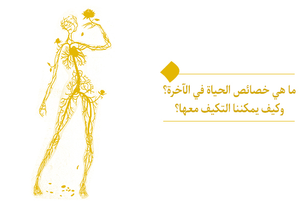 كيف يمكننا التكيف مع خصائص الحياة في الآخرة؟