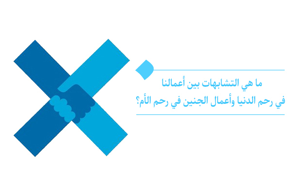 أعمالنا في رحم الدنيا تشبه أعمال الجنين في رحم الأم