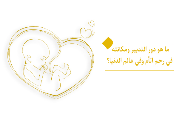 مكانة التدبير في العوالم الوجودية منها رحم الأم والدنيا والآخرة
