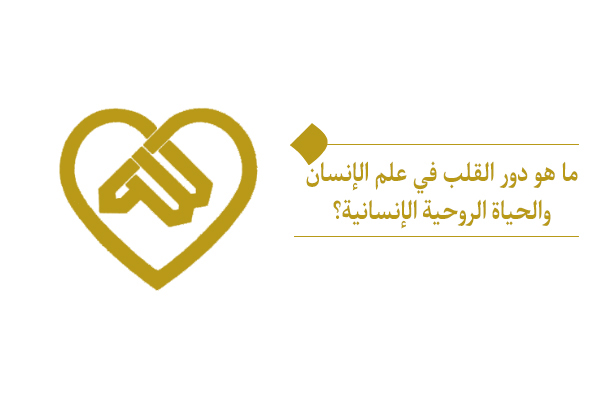 "ما هو دور القلب في علم الإنسان والحياة الروحية الإنسانية؟"