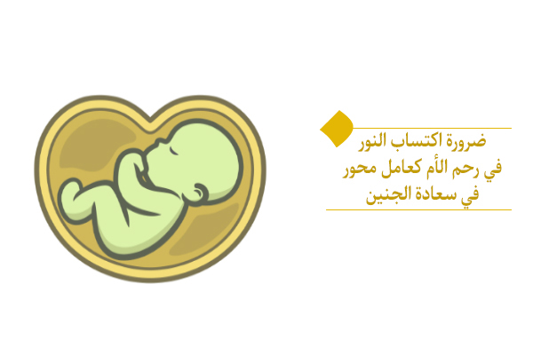 كيف تؤدي ضرورة اكتساب النور إلى سعادة الجنين؟