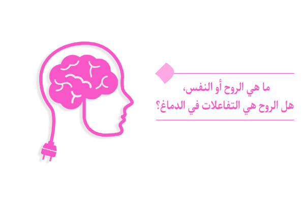 ما هي الروح وماذا يعني أن تكون مجردة؟